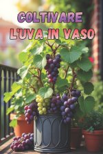 Coltivare l'uva in vaso
