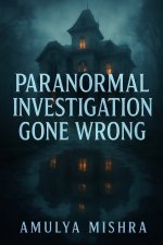 Paranormal Investigation Gone Wrong