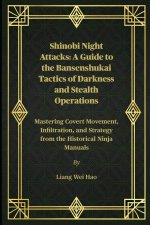 Shinobi Night Attacks