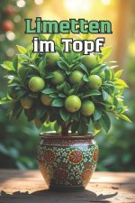 Limetten im Topf