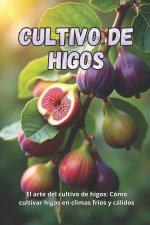 Cultivo de higos