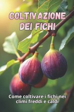 Coltivazione dei fichi