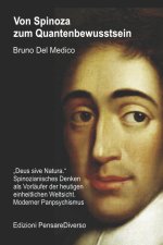 Von Spinoza zum Quantenbewusstsein