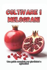 Coltivare i melograni