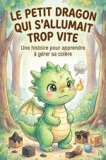 Le Petit Dragon qui s'allumait trop vite