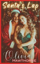 Santa's Lap