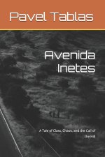 Avenida Inetes