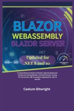 Blazor WebAssembly Blazor Server