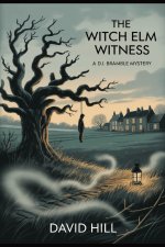 The Witch Elm Witness