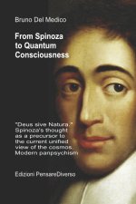From Spinoza to Quantum Consciousness.