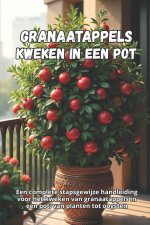 Granaatappels kweken in een pot
