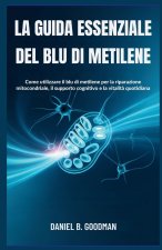 LA GUIDA ESSENZIALE DEL BLU DI METILENE