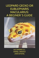 LEOPARD GECKO OR EUBLEPHARIS MACULARIUS