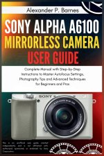 Sony Alpha a6100 Mirrorless Camera User Guide