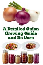 A Detailed Onion Growing Guide and Its Uses