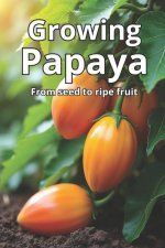 Growing Papaya