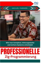 Professionelle Zig Programmierung