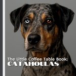 The Little Coffee Table Book