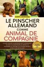 LE PINSCHER ALLEMAND COMME ANIMAL DE COMPAGNIE