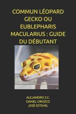 COMMUN LÉOPARD GECKO OU EUBLEPHARIS MACULARIUS