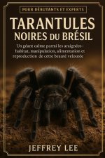 TARANTULES NOIRES DU BRÉSIL