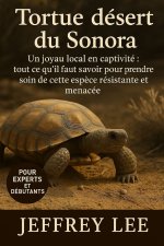 TORTUE DU DÉSERT DU SONORA