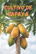 Cultivo de papaya