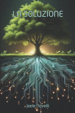 La Soluzione