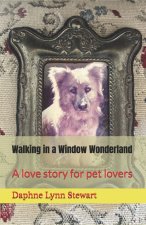 Walking in a Window Wonderland