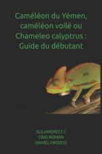 Caméléon du Yémen, caméléon voilé ou Chameleo calyptrus