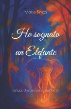 Ho sognato un Elefante