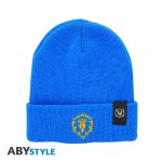 WORLD OF WARCRAFT - Beanie - Alliance Logo*