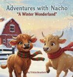 ADVENTURES WITH NACHO A WINTER WONDERLAND