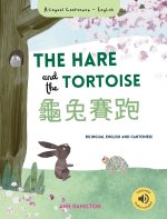 The Hare and the Tortoise 龜兔賽跑