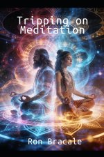 Tripping on Meditation