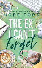 The Ex I Can't Forget