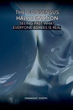 The Consensus Hallucination, Seeing Past What Everyone Agrees Is Real