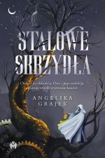Stalowe skrzydła