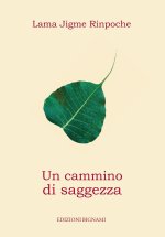 cammino di saggezza