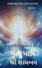 પડદાની પેલે પાર