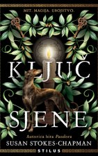Ključ sjene