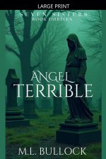 Angel Terrible