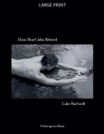 Atom Heart John Beloved