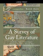 A Survey of Gay Literature, Volume Two
