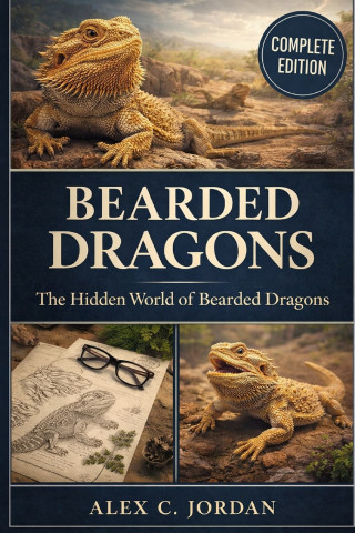 Bearded Dragons
