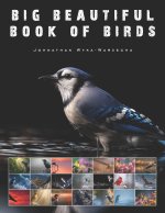 Big Beautiful Book of Birds