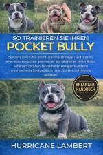 SO TRAINIEREN SIE IHREN POCKET BULLY