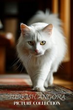 Turkish Angora Cat Photo Collection