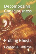 Decomposing Consciousness