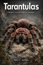 Tarantulas
